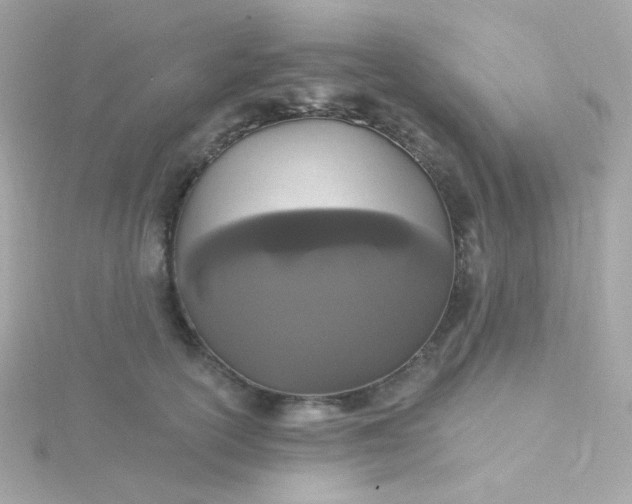 X0000115690754200911251813