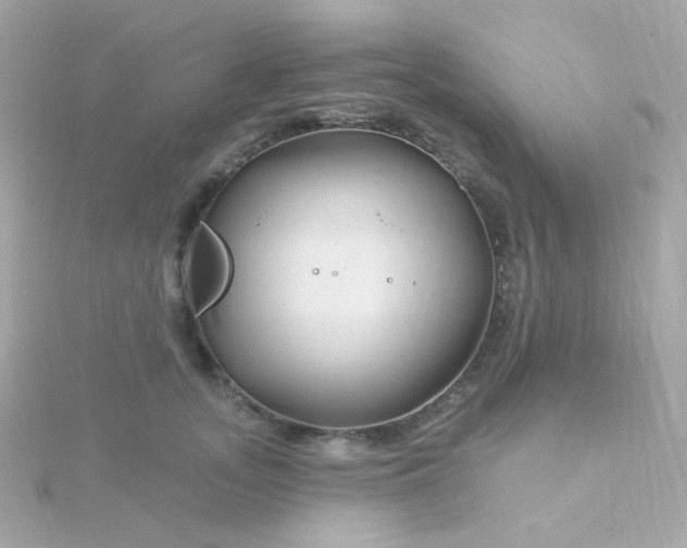 X0000115690755200911251813