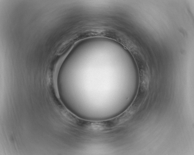 X0000115690758200911251813