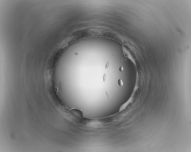 X0000115690759200911251813