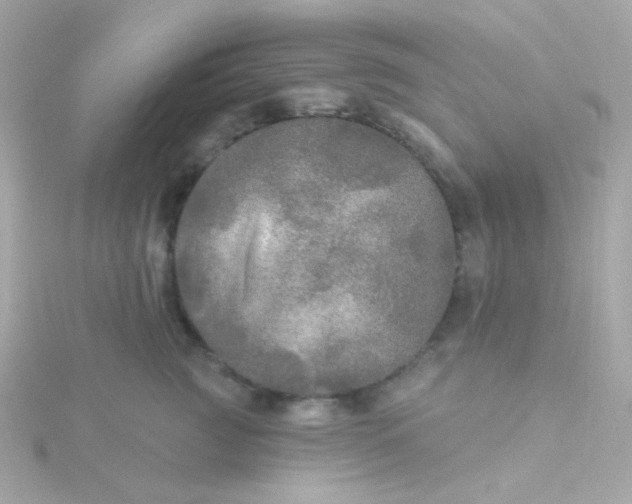 X0000115690761200911251813