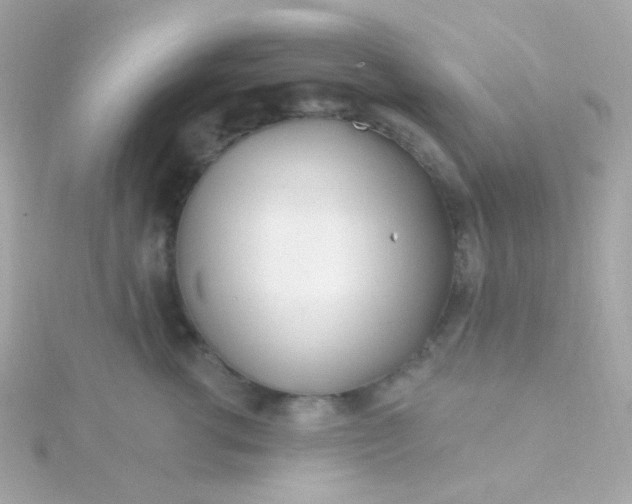 X0000115690762200911251813