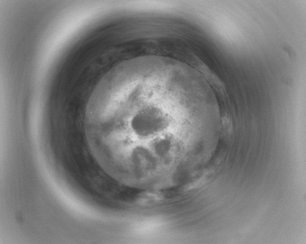 X0000115690765200911251813