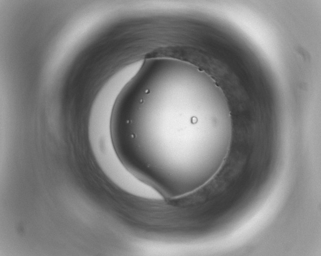 X0000115690766200911251813