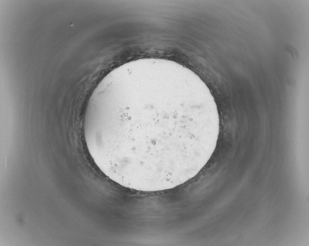 X0000115690769200911251812