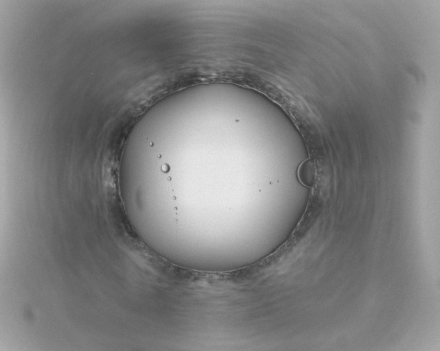 X0000115690770200911251812