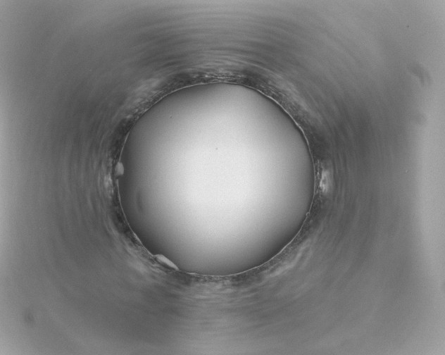 X0000115690771200911251812