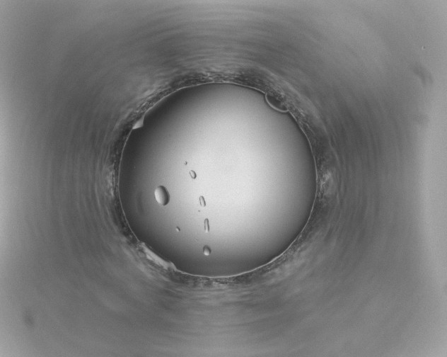 X0000115690772200911251812