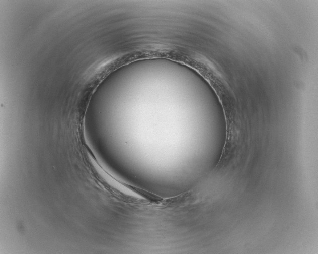 X0000115690773200911251812