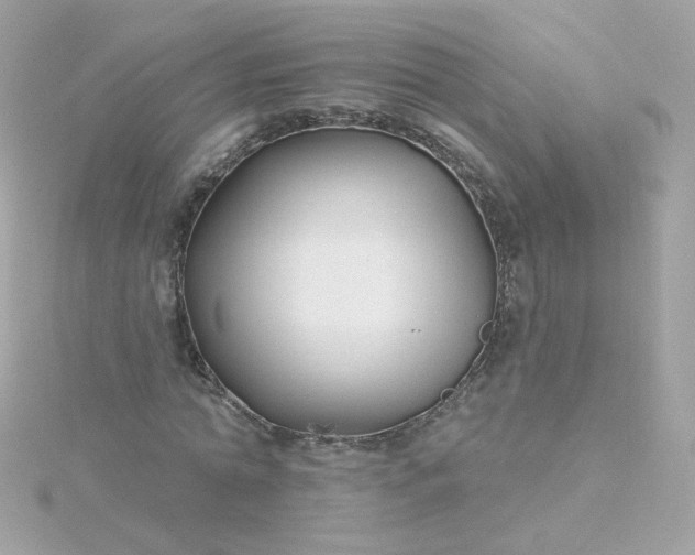 X0000115690774200911251812