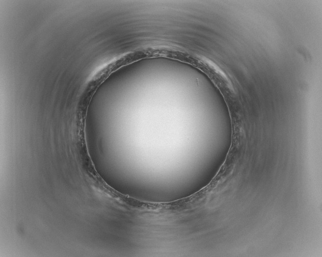 X0000115690775200911251812