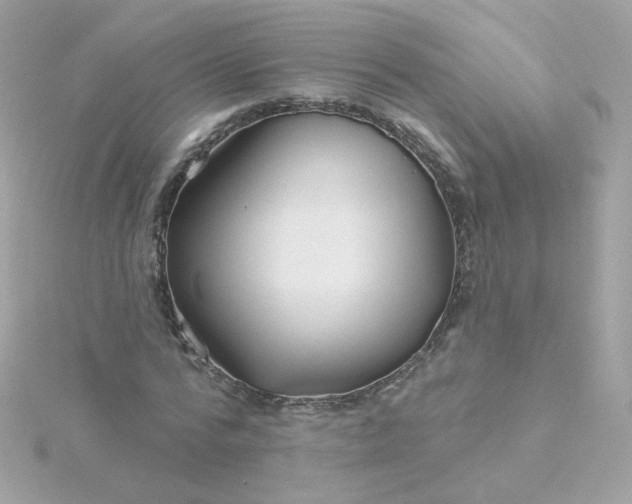 X0000115690776200911251812