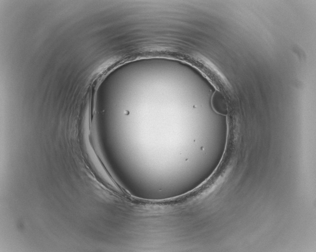 X0000115690777200911251812