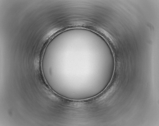 X0000115690778200911251812