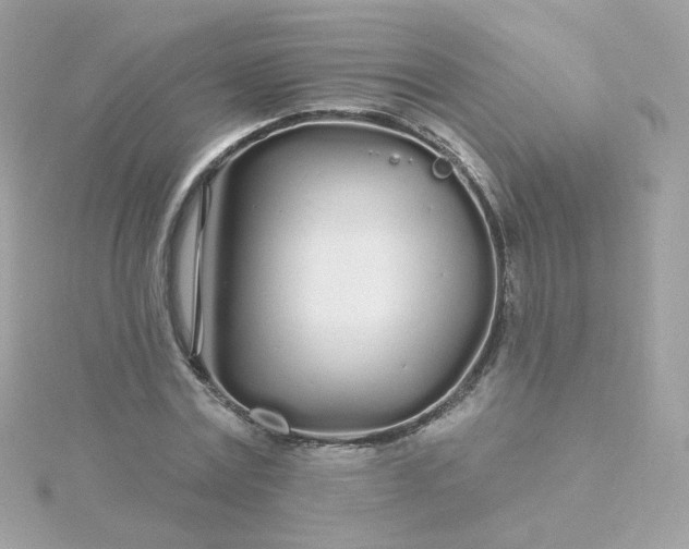 X0000115690779200911251812