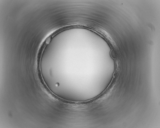 X0000115690780200911251812