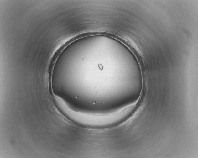 X0000115690781200911251812