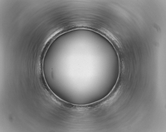 X0000115690782200911251812