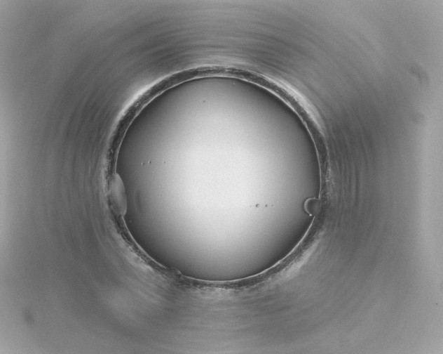 X0000115690783200911251812