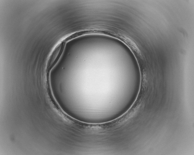 X0000115690784200911251812