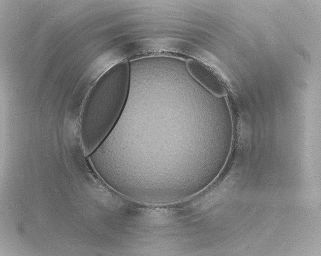 X0000115690785200911251812