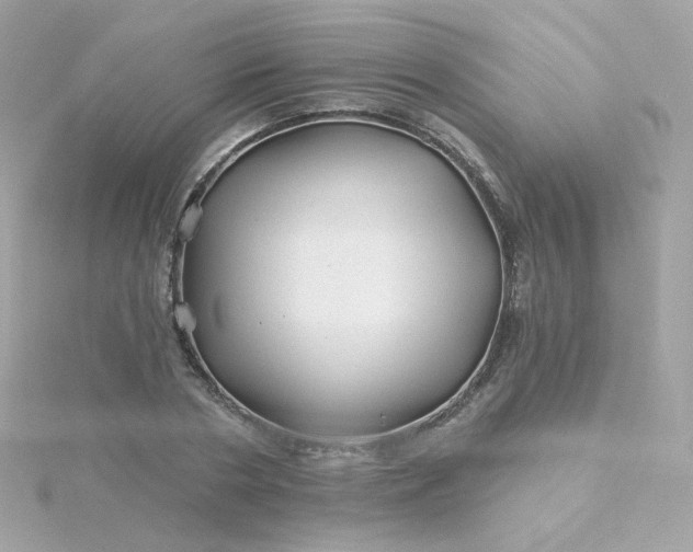 X0000115690786200911251812