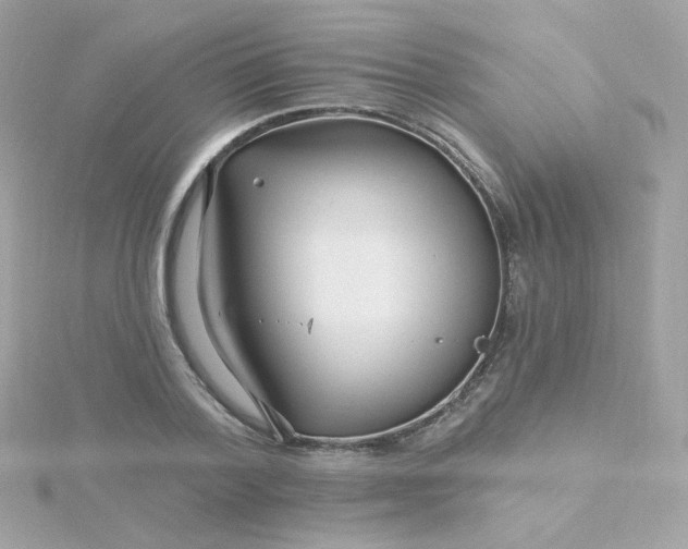 X0000115690788200911251812