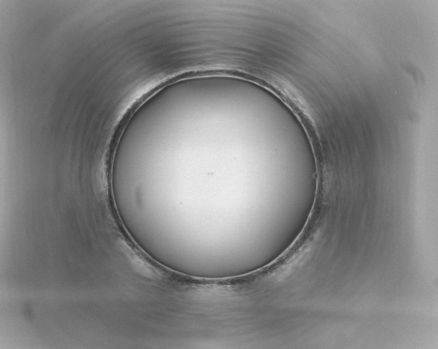 X0000115690789200911251812