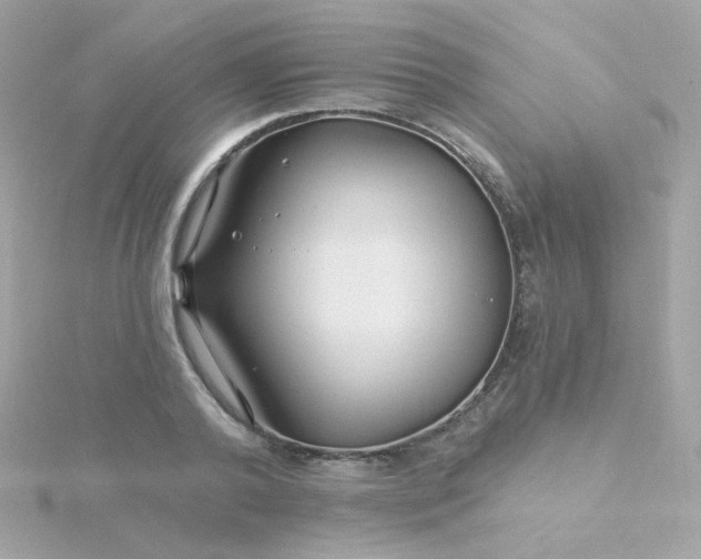 X0000115690792200911251812