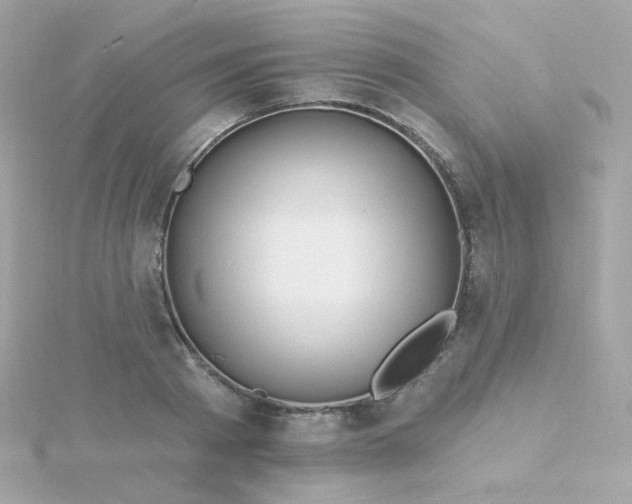 X0000115690793200911251812