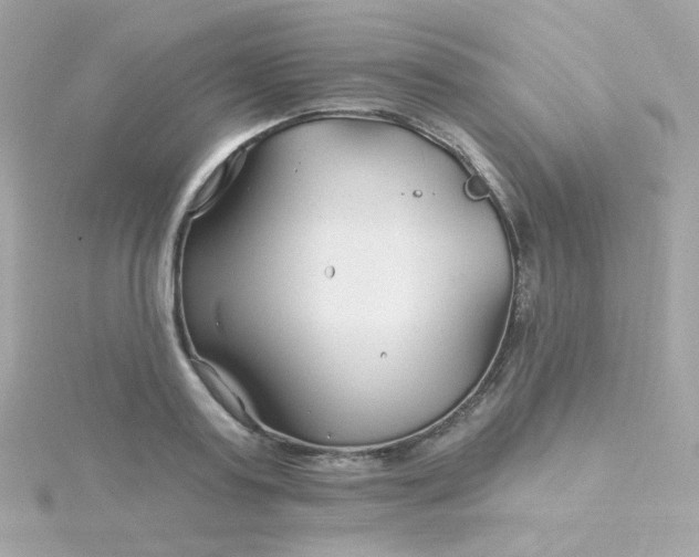 X0000115690795200911251812