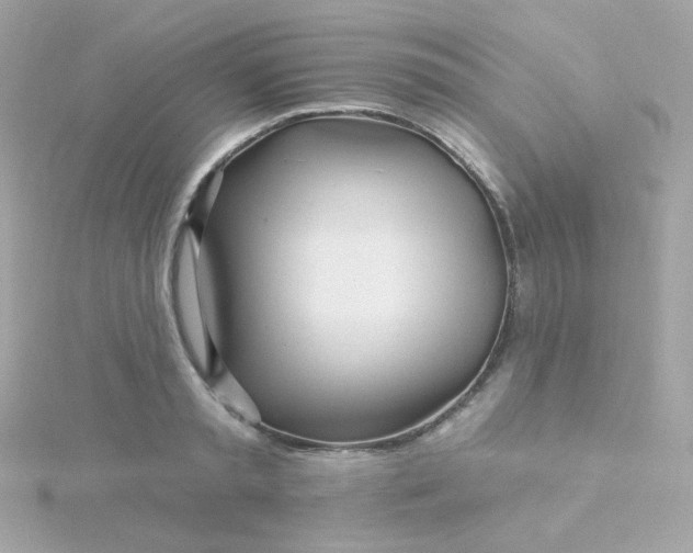 X0000115690797200911251812