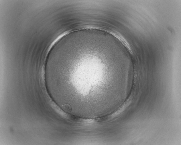 X0000115690798200911251812