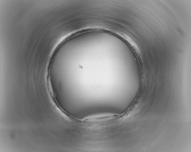 X0000115690799200911251812