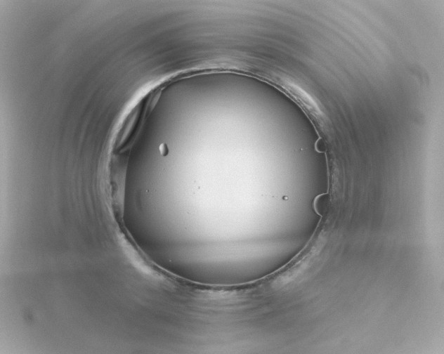 X0000115690800200911251812