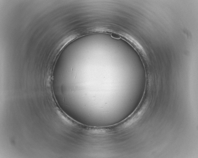 X0000115690801200911251811