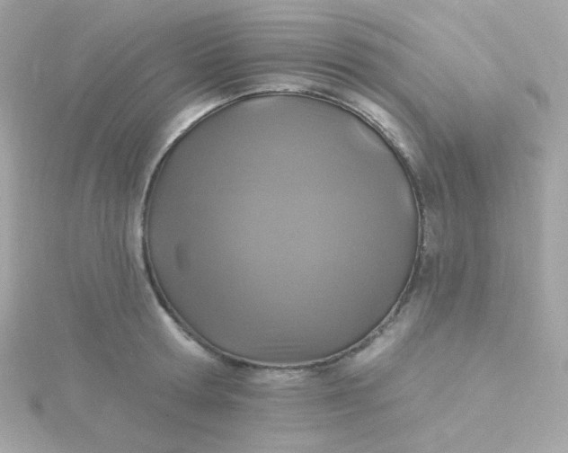 X0000115690802200911251811