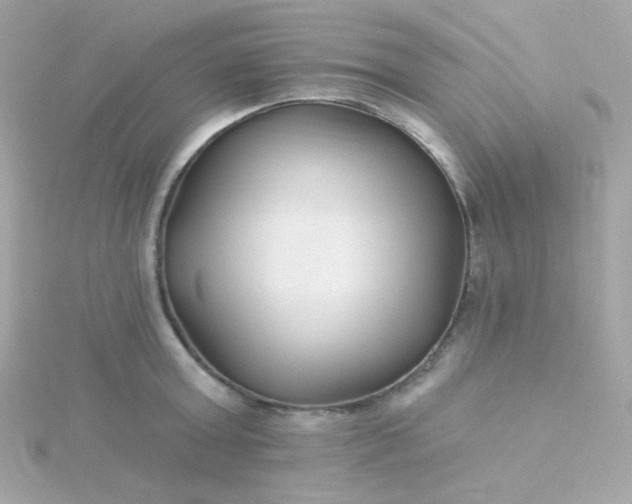 X0000115690803200911251811