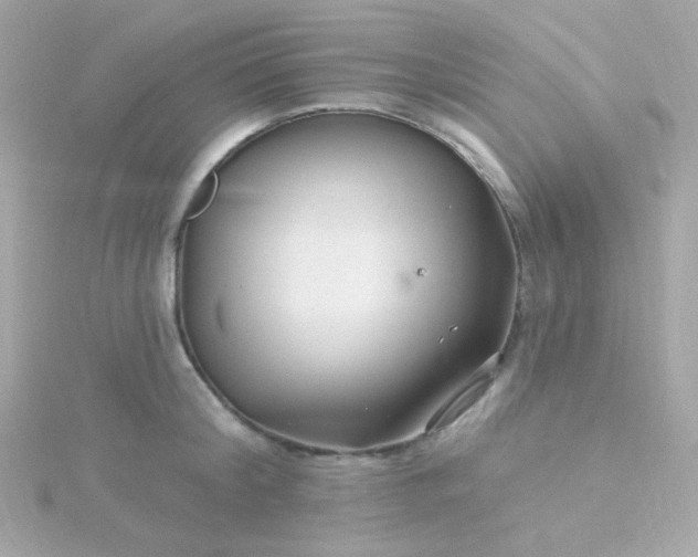 X0000115690804200911251811