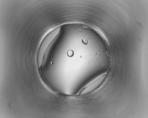 X0000115690805200911251811