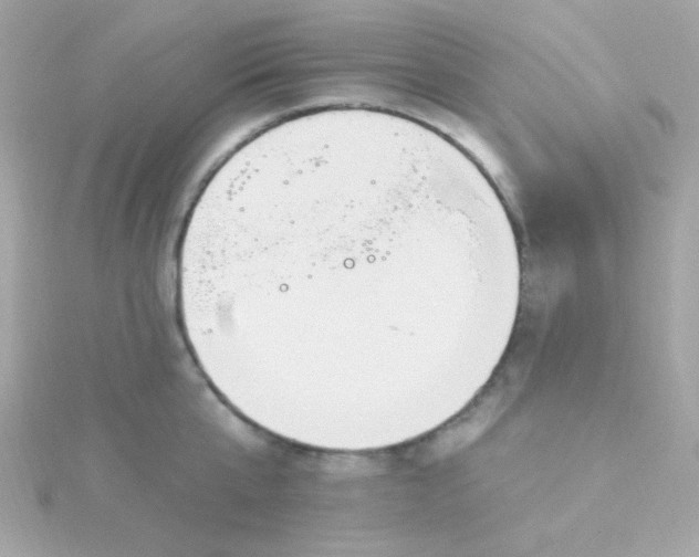 X0000115690807200911251811