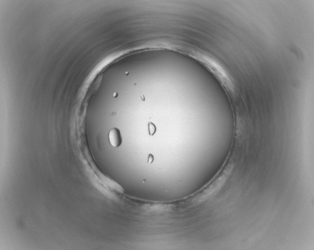 X0000115690808200911251811