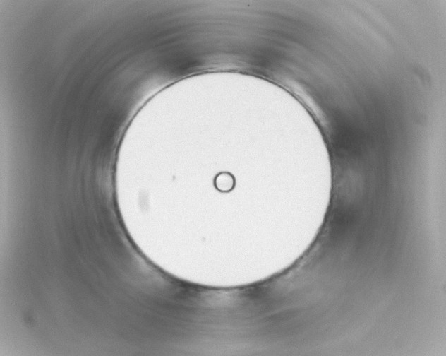 X0000115690810200911251811