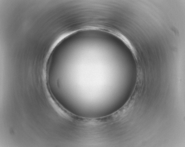 X0000115690811200911251811