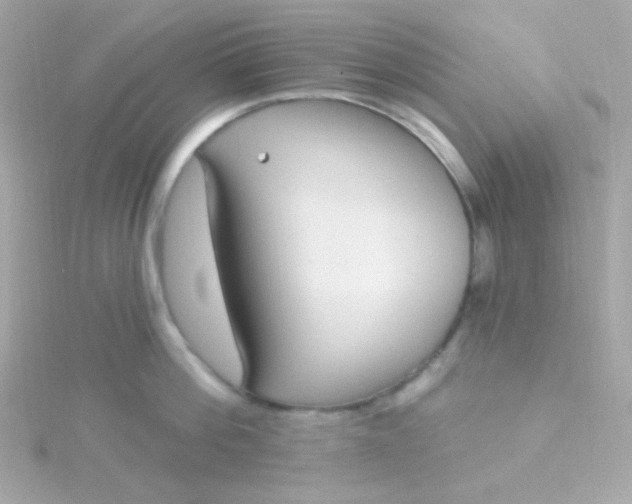 X0000115690812200911251811