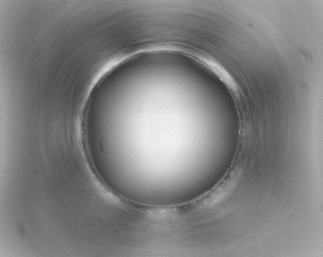 X0000115690813200911251811