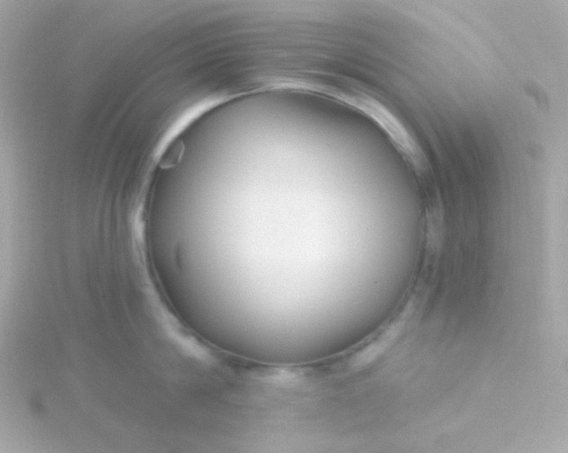 X0000115690814200911251811