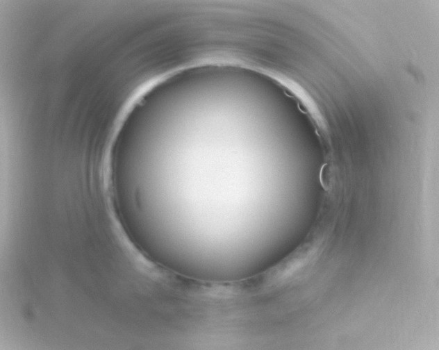 X0000115690815200911251811