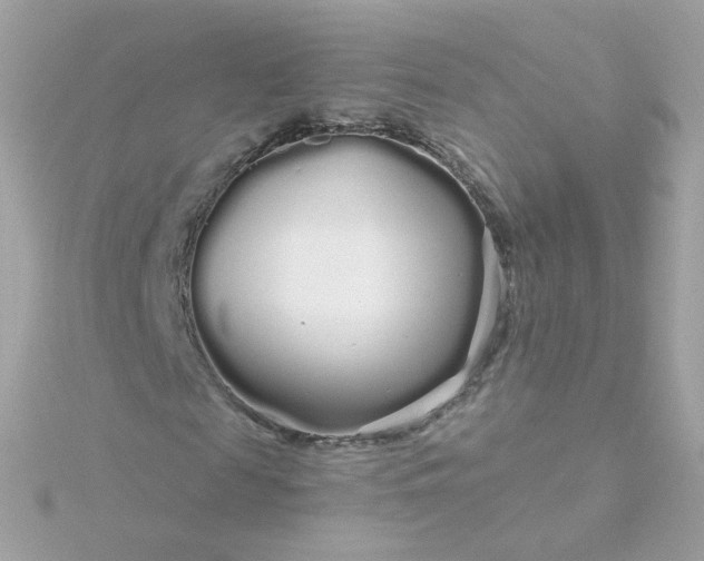 X0000115690817200911251811