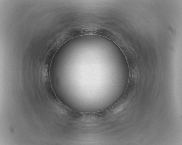 X0000115690818200911251811